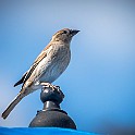 Tunisia-810-300-20170301-132805XC.jpg