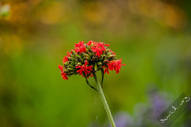 Belarus, Minsk 