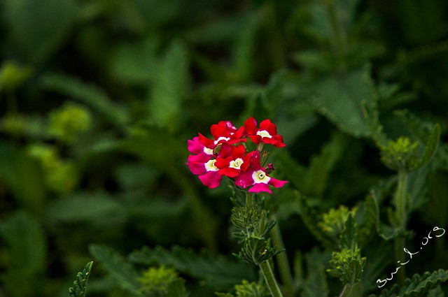 Belarus, Minsk 