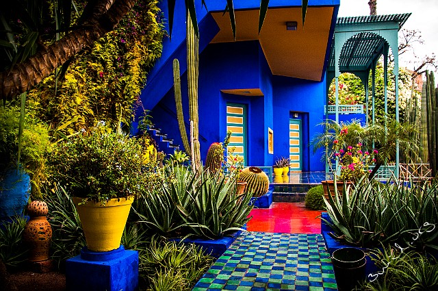 Morocco, Marrakech Le Jardin Majorelle Morocco, Marrakech