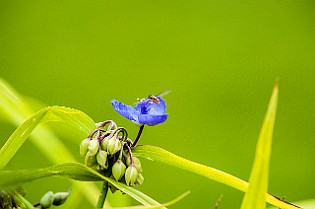 Belarus, Minsk