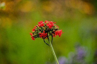 Belarus, Minsk