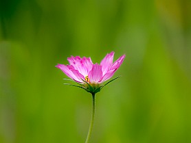 Belarus-Minsk20160714-121817X.jpg