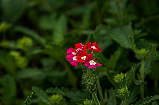Belarus, Minsk