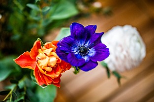 Bloom-GS-Covid-Mandol20210311-142519XF