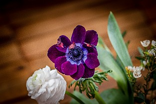Bloom-GS-Covid-Mandol20210311-143000 01XCF