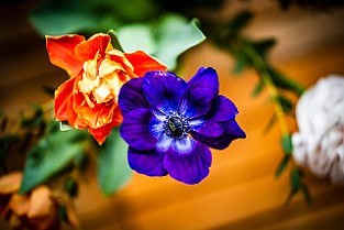 Bloom-GS-Covid-Mandol20210311-143424XCF