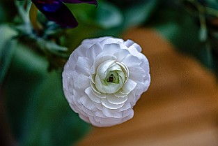 Bloom-GS-Covid-Mandol20210311-143602XCF.jpg