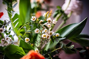 Bloom-GS-Covid-Mandol20210311-145524XF.jpg