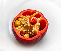 Liam-Rira-Majorn20180401-150611Paprika SEC.jpg
