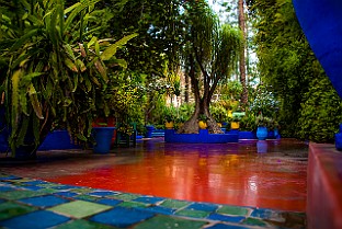 Le Jardin Majorelle, Marrakech, Morocco