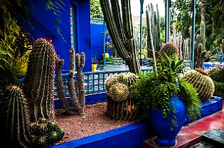 Le Jardin Majorelle, Marrakech, Morocco
