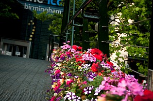 Scotland-CS20130723-204510_01.JPG
