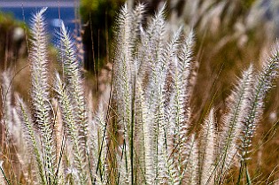 UAE-AbuDhabi20120921-122958.JPG