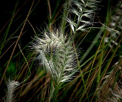 UAE-AbuDhabi20120921-123102.JPG