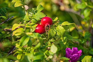 Valen-Johannes20190820-165923XF.jpg
