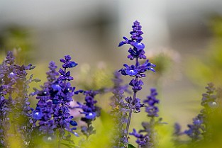 Valen-Johannes20190820-172307XF.jpg