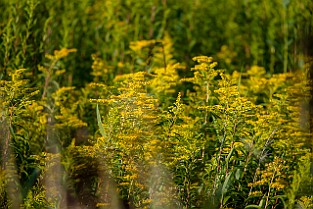Valen-Johannes20190820-173628XF.jpg