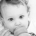 Ladybird-Kafshdo20160417-203228BXC.jpg