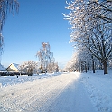 Snow-Fridhem-Utb20110113-140330L.jpg